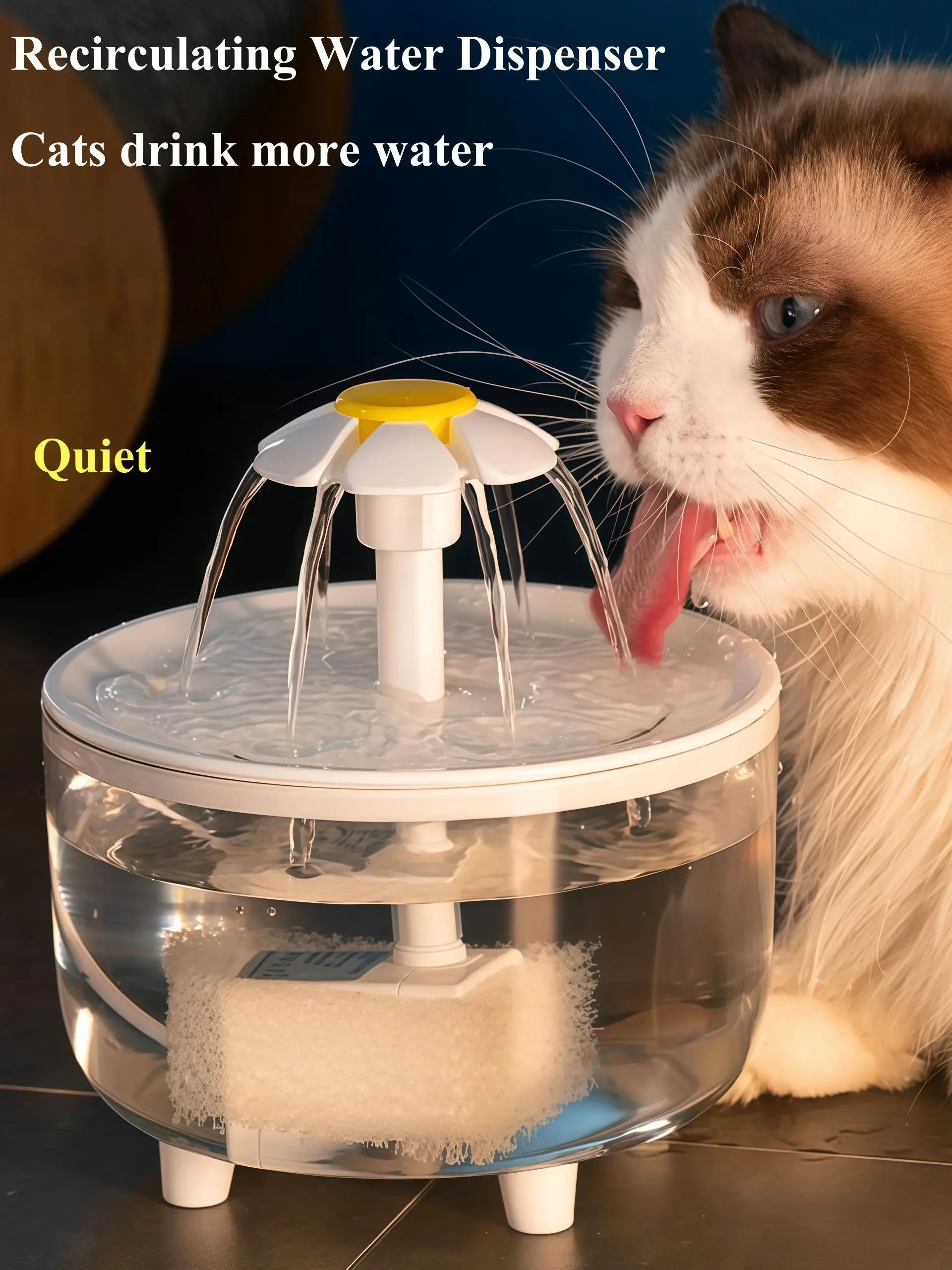 Electric Water Fountain