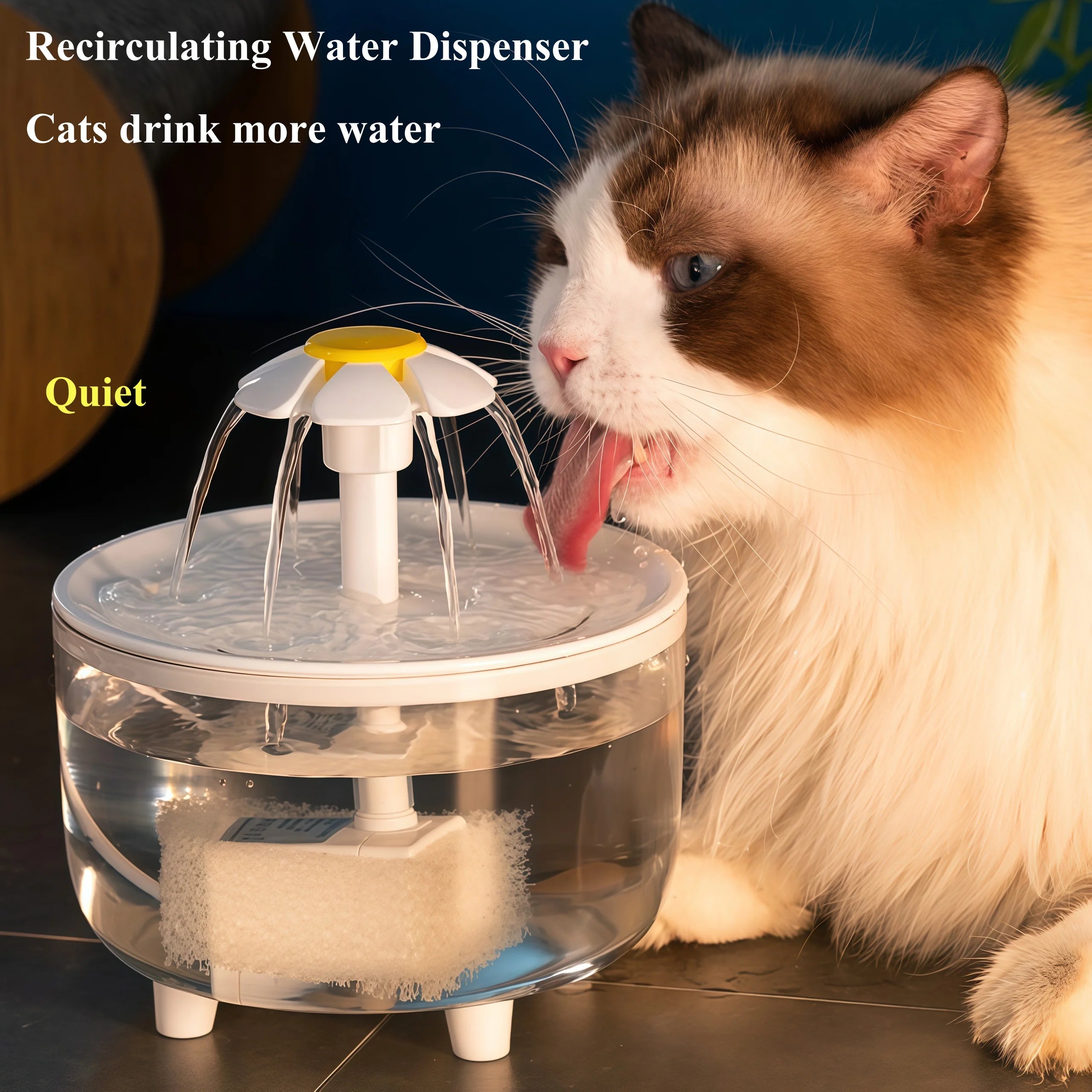Electric Water Fountain