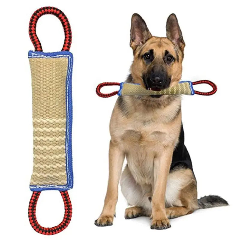 Dog Chewing Toy