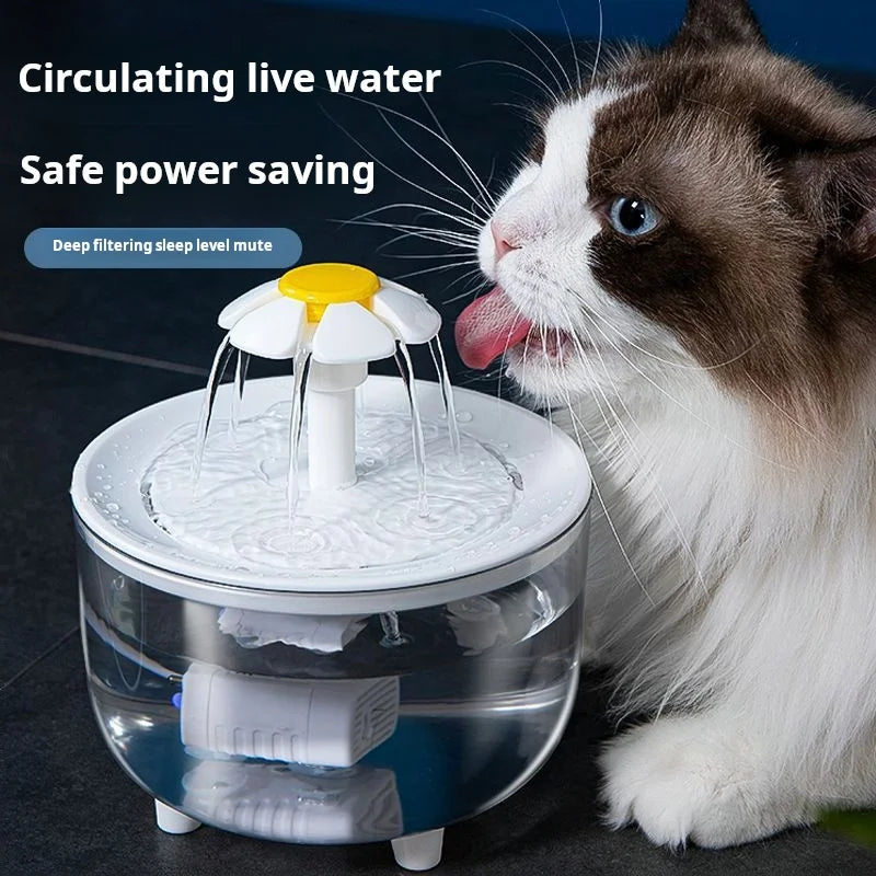 Electric Water Fountain