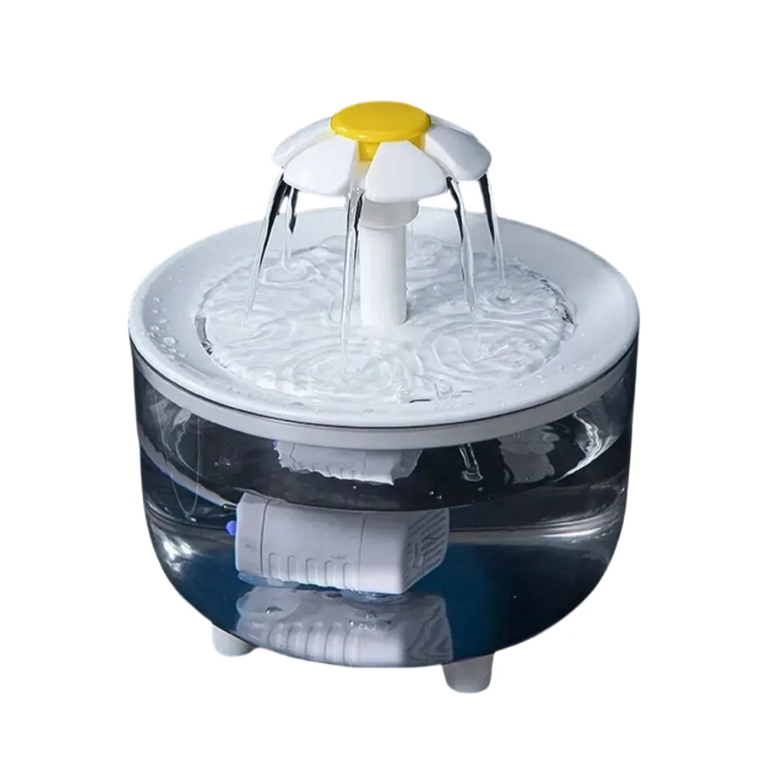 Electric Water Fountain