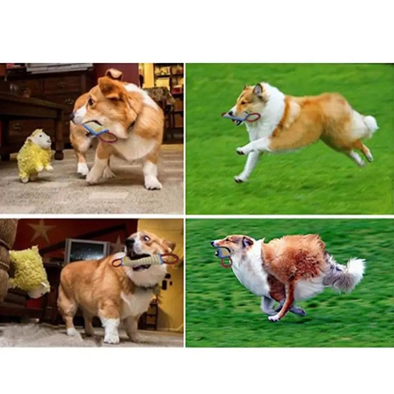 Dog Chewing Toy