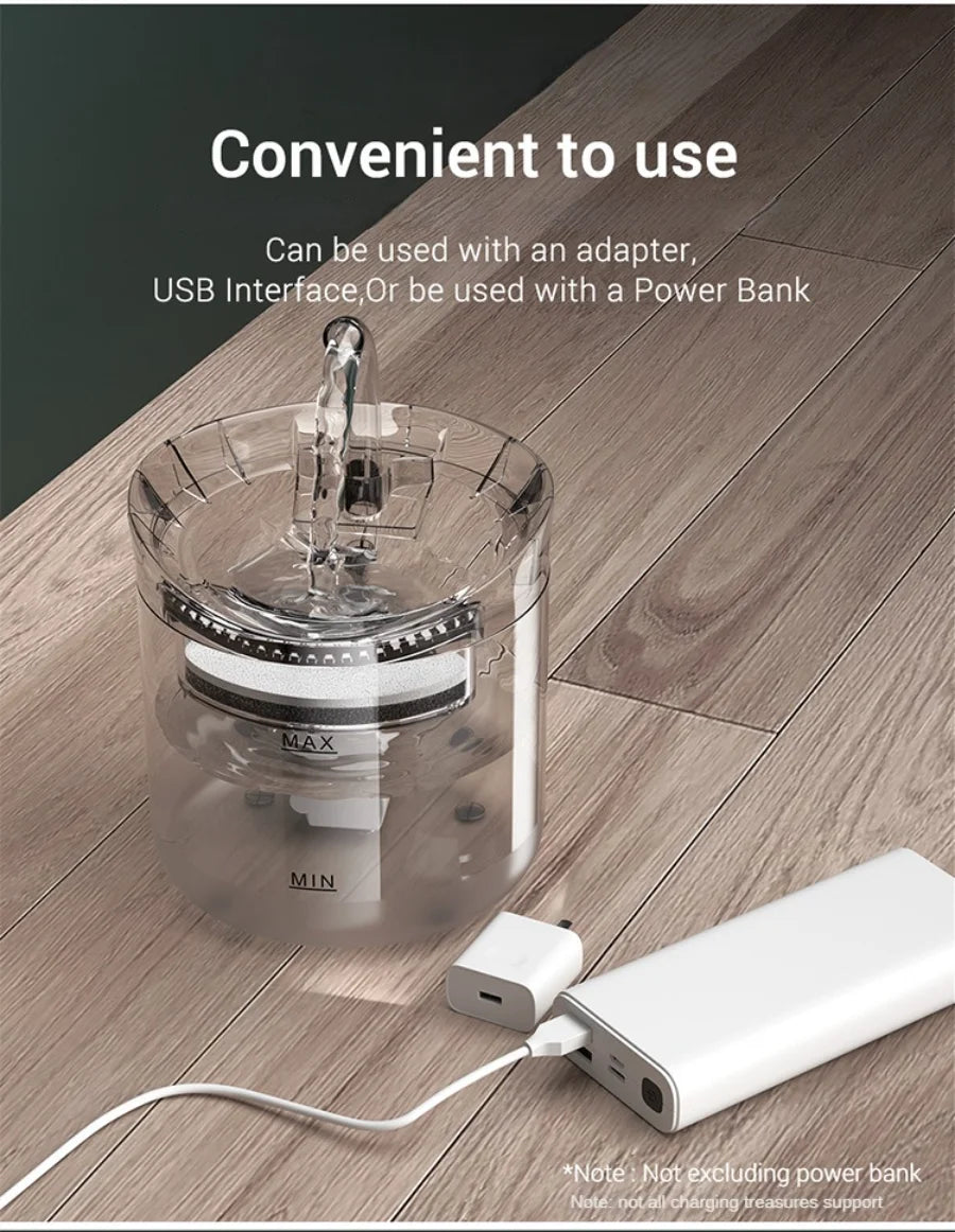 Automatic water dispenser