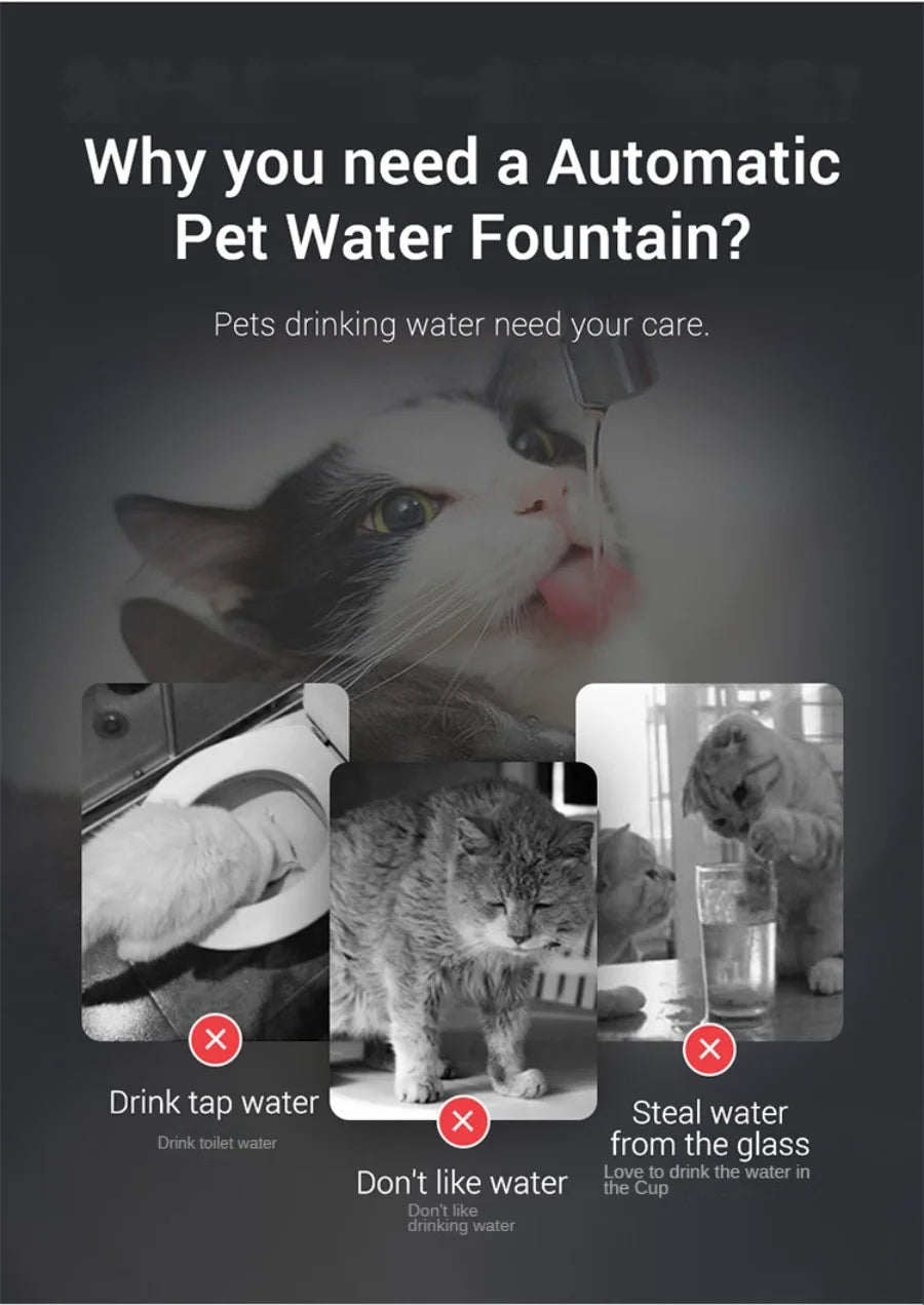 Automatic water dispenser