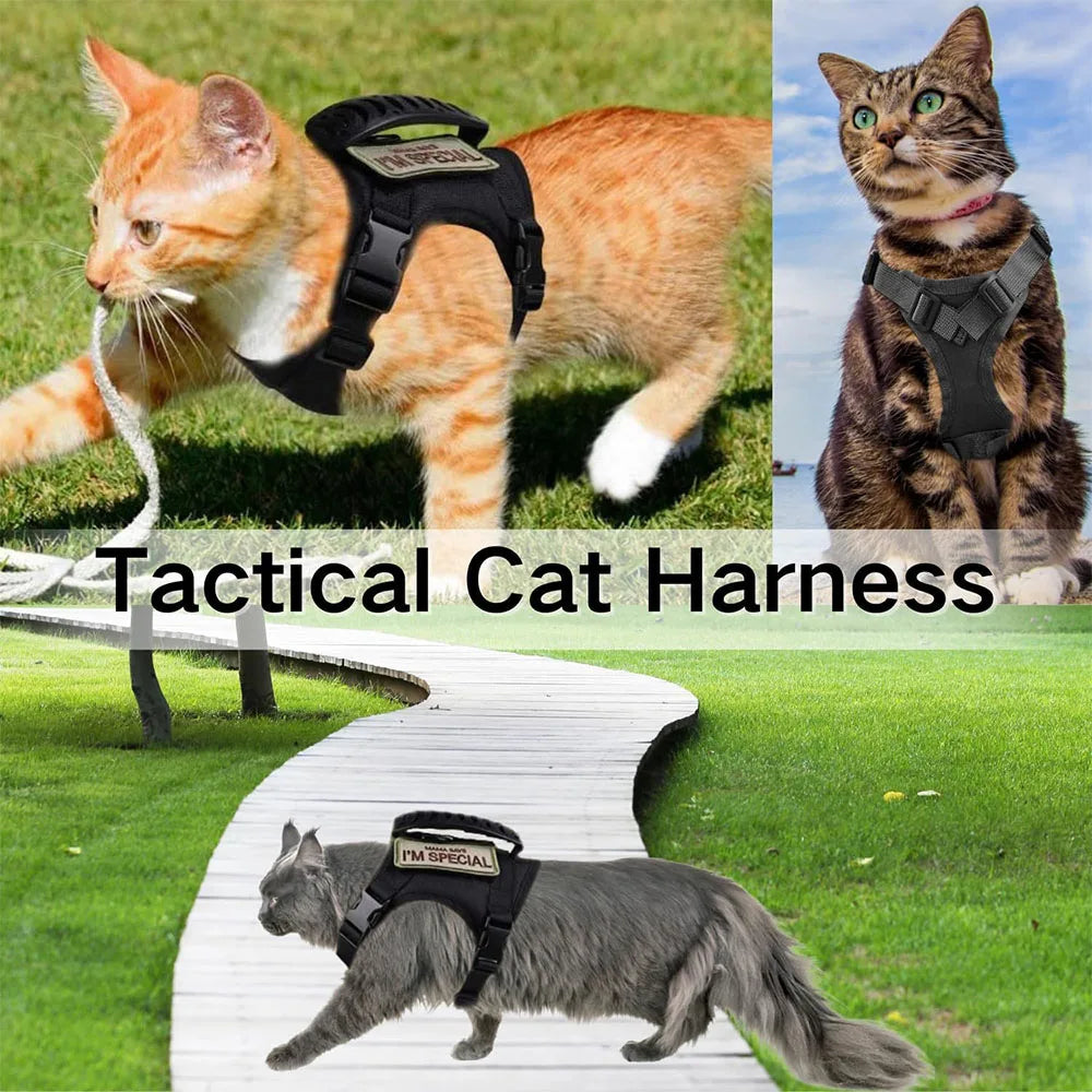 Tactical Harness Leash