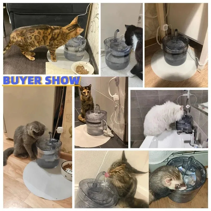 Automatic water dispenser