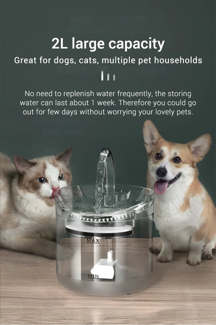 Automatic water dispenser
