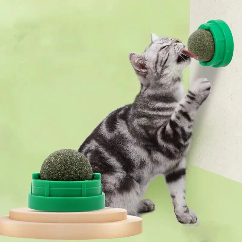 Catnip Stick-on Ball