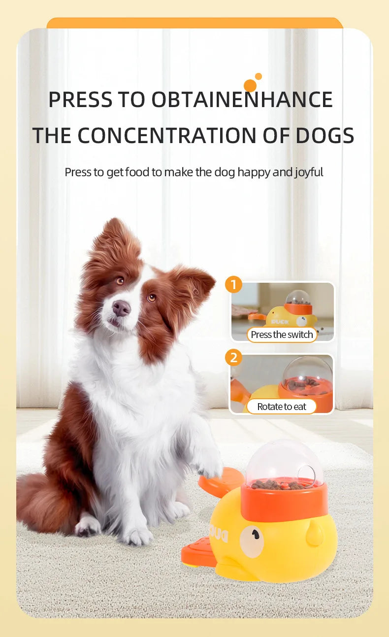 Pet Snack Feeder