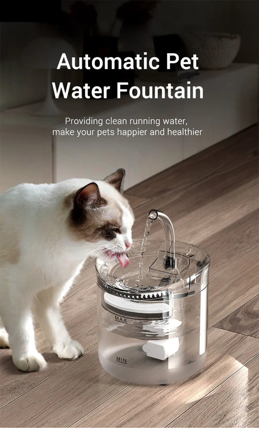 Automatic water dispenser