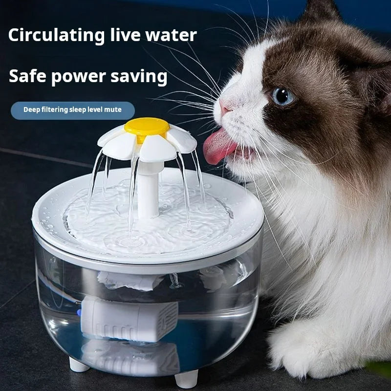 Electric Water Fountain