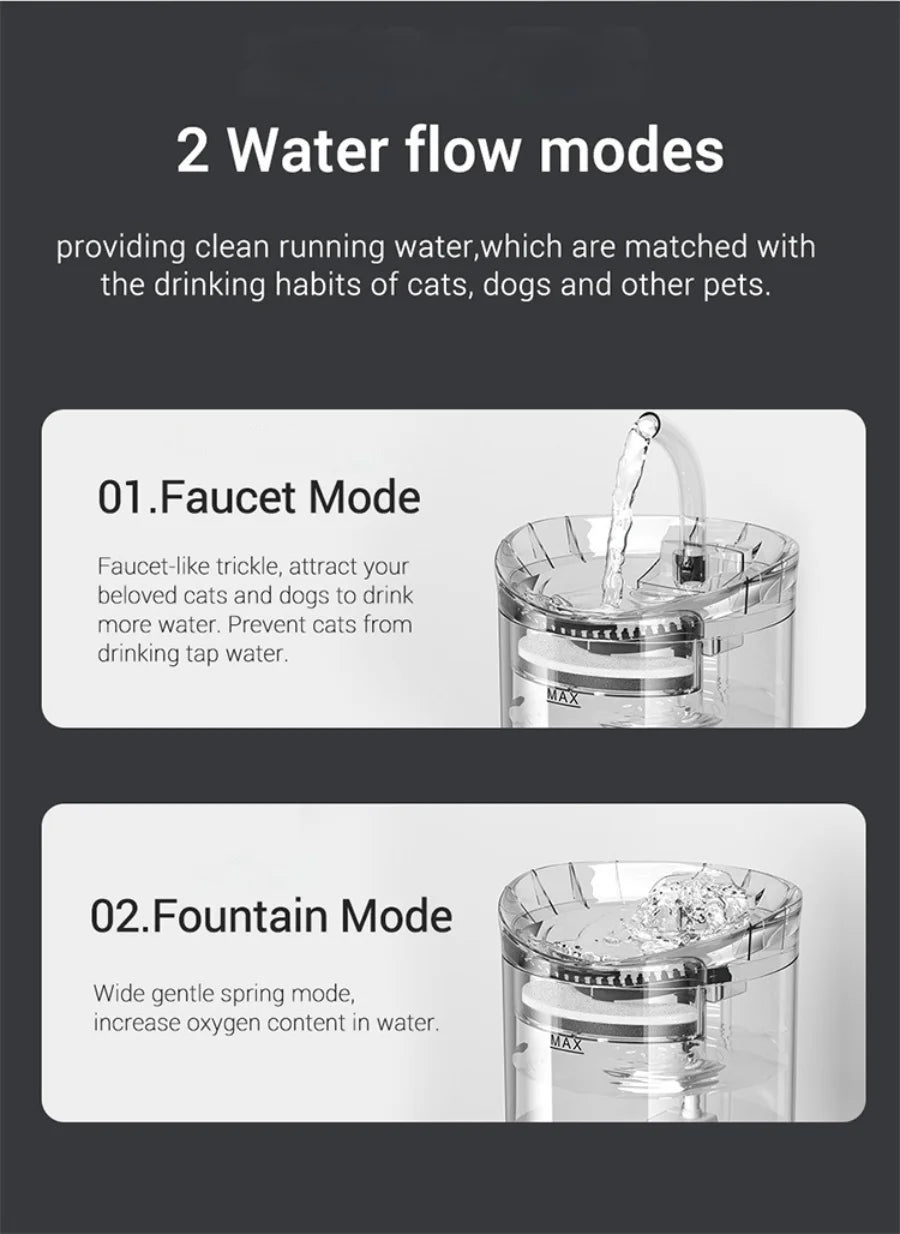 Automatic water dispenser