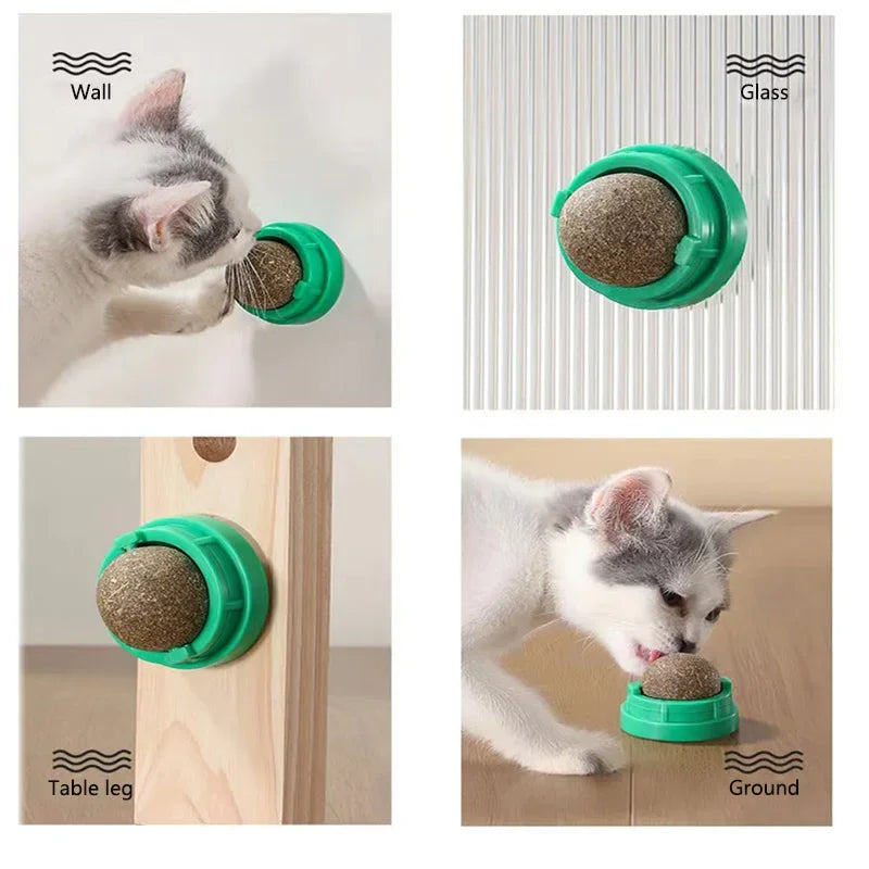 Catnip Stick-on Ball