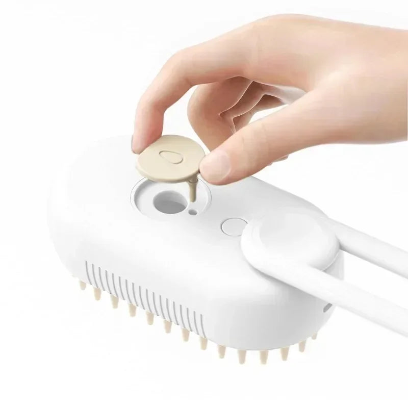 Steam Brush