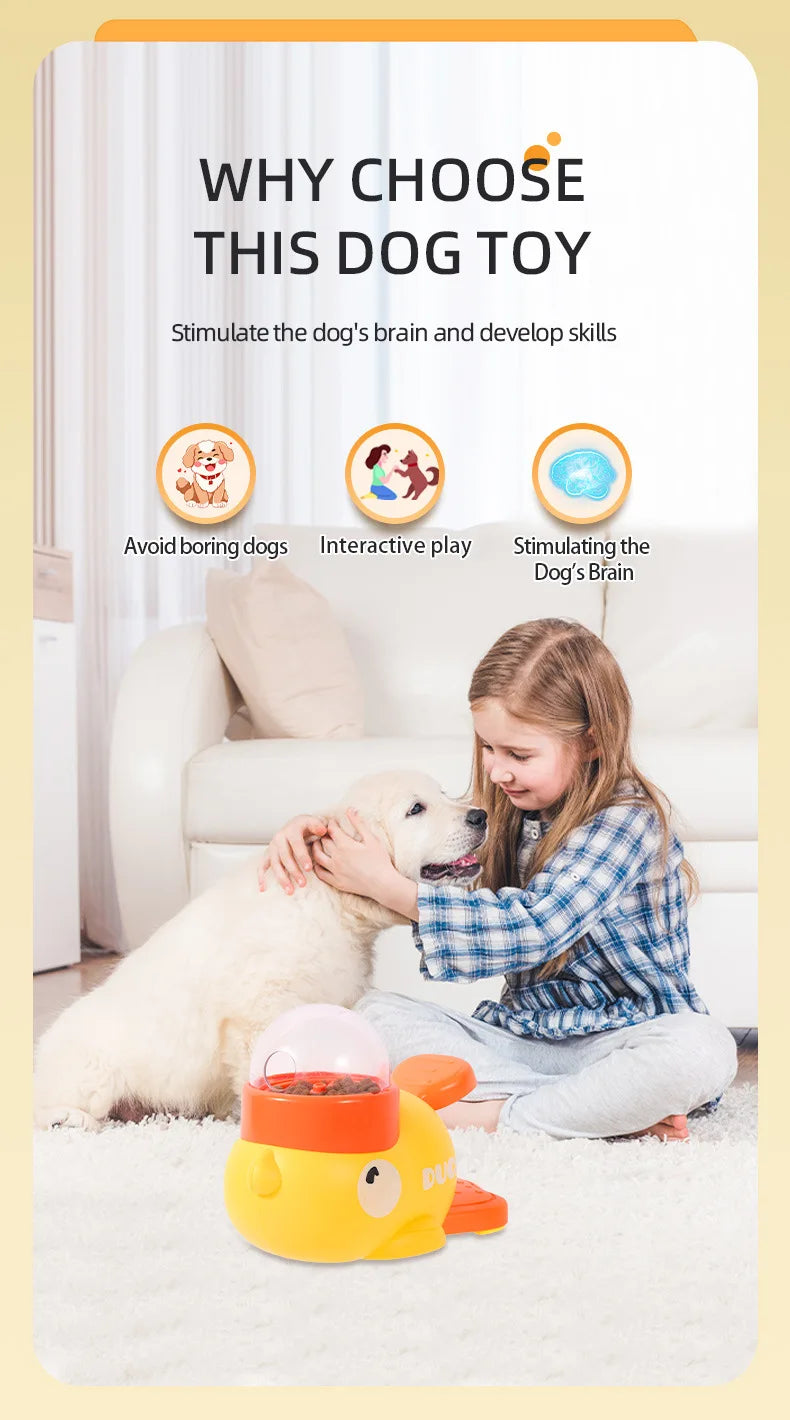 Pet Snack Feeder