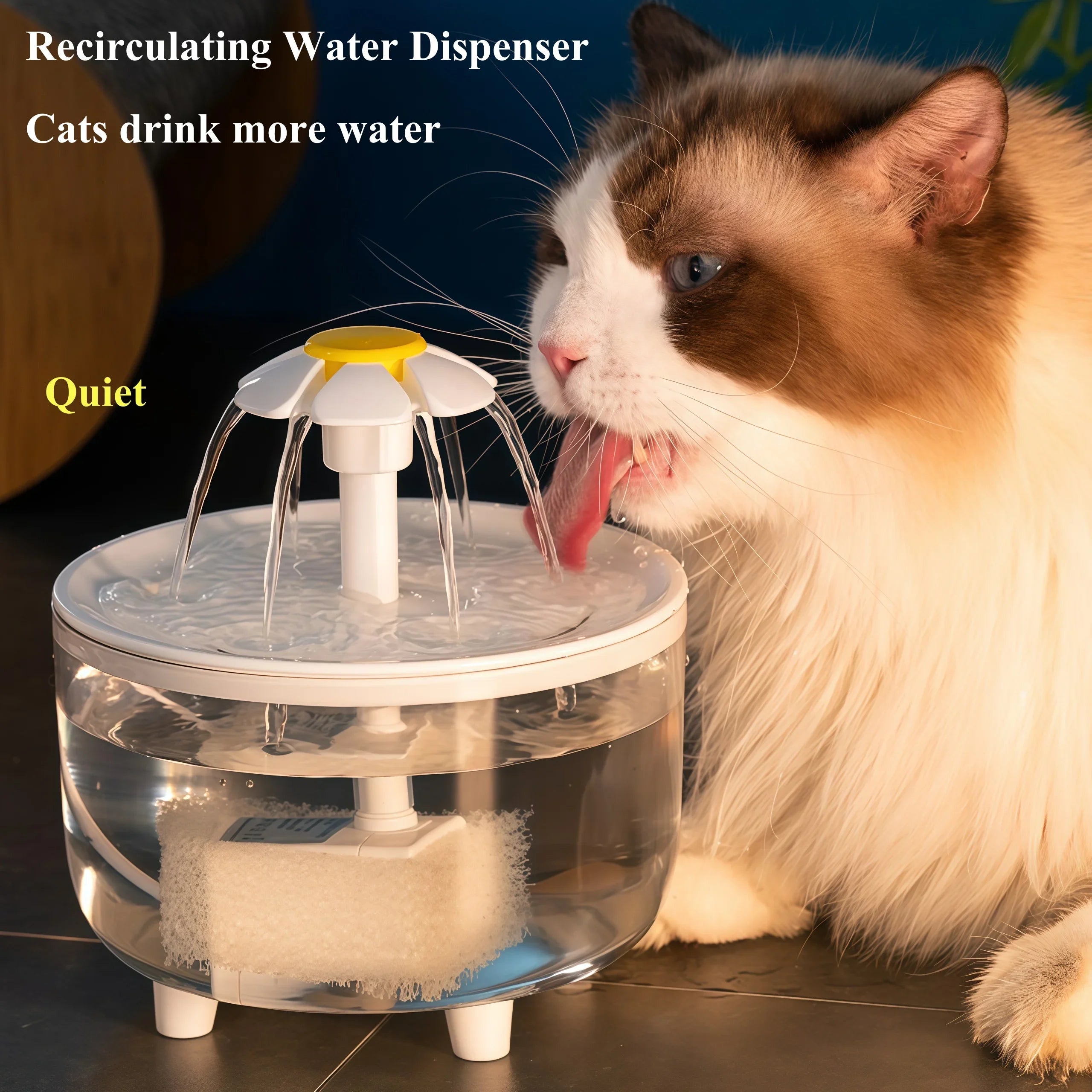 Electric Water Fountain