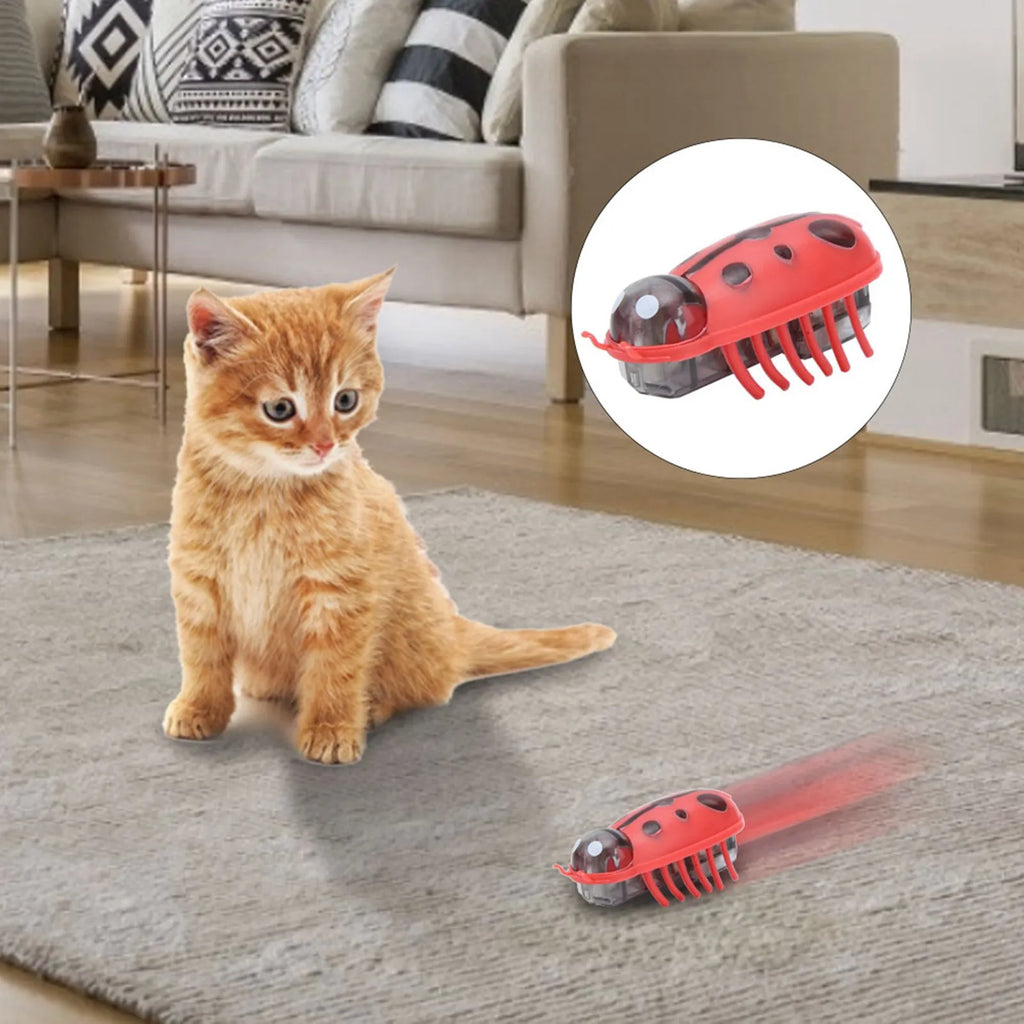 Electric Ladybug Toys