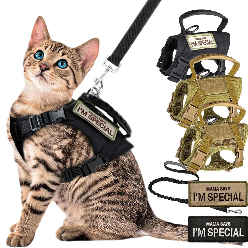Tactical Harness Leash