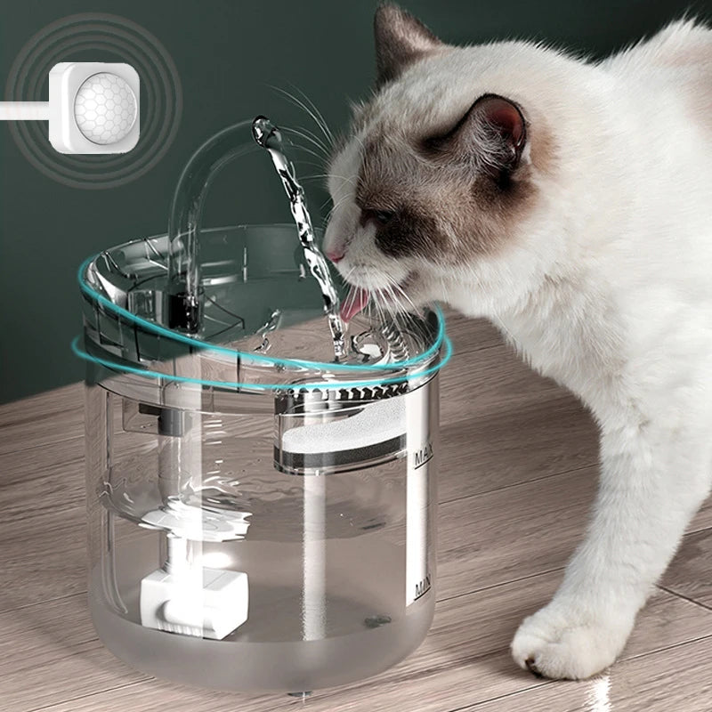 Automatic water dispenser
