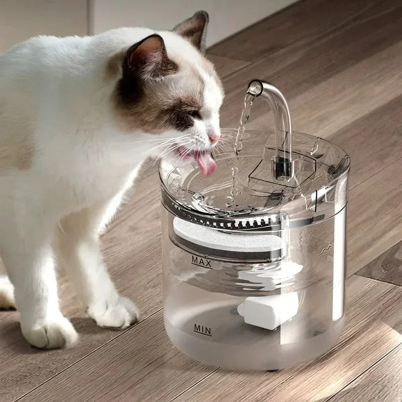 Automatic water dispenser