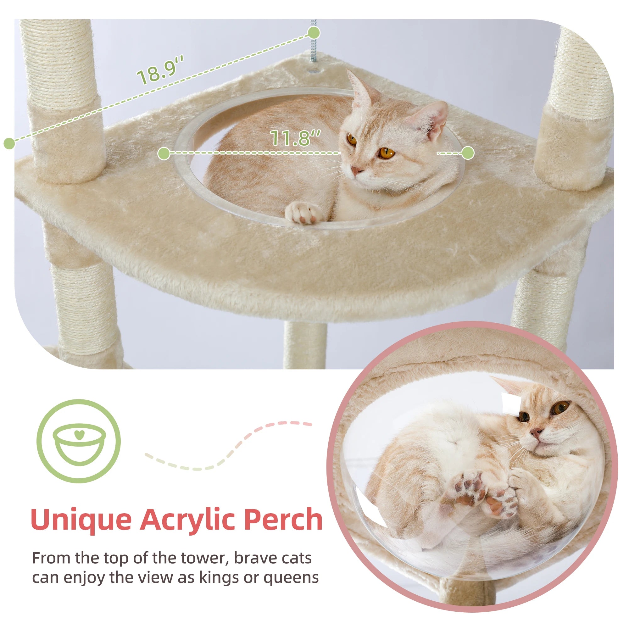 Floor to Ceiling Cat Tree