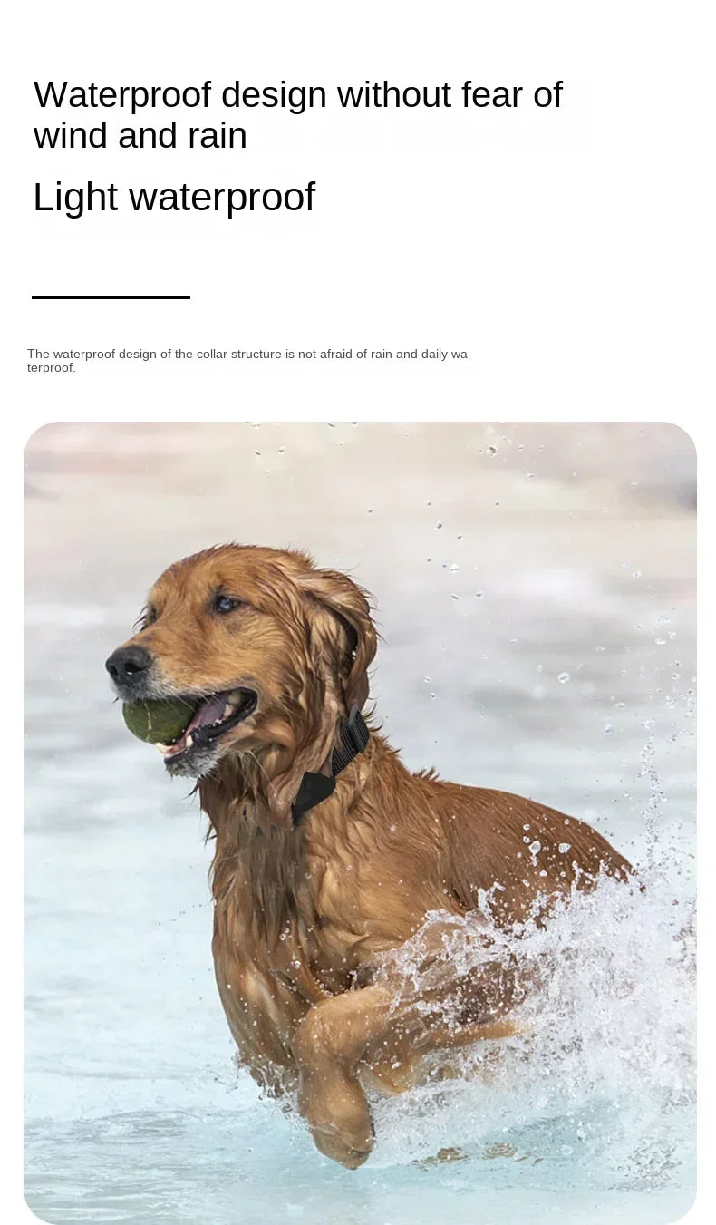 Waterproof GPS Collar