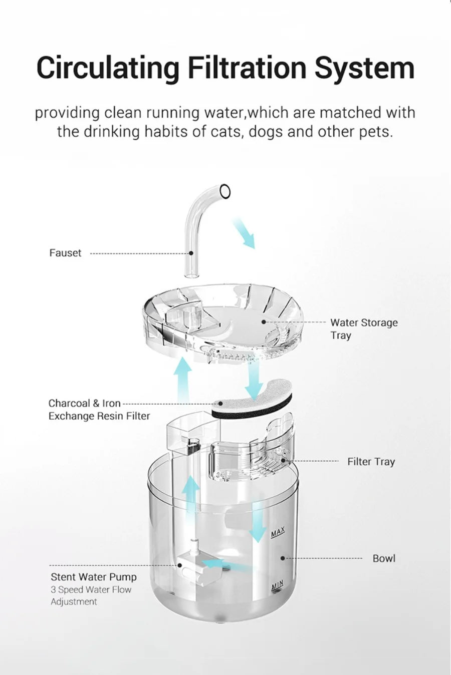 Automatic water dispenser