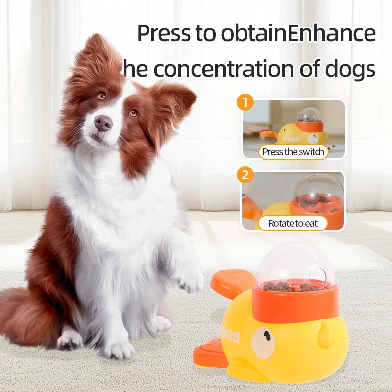 Pet Snack Feeder