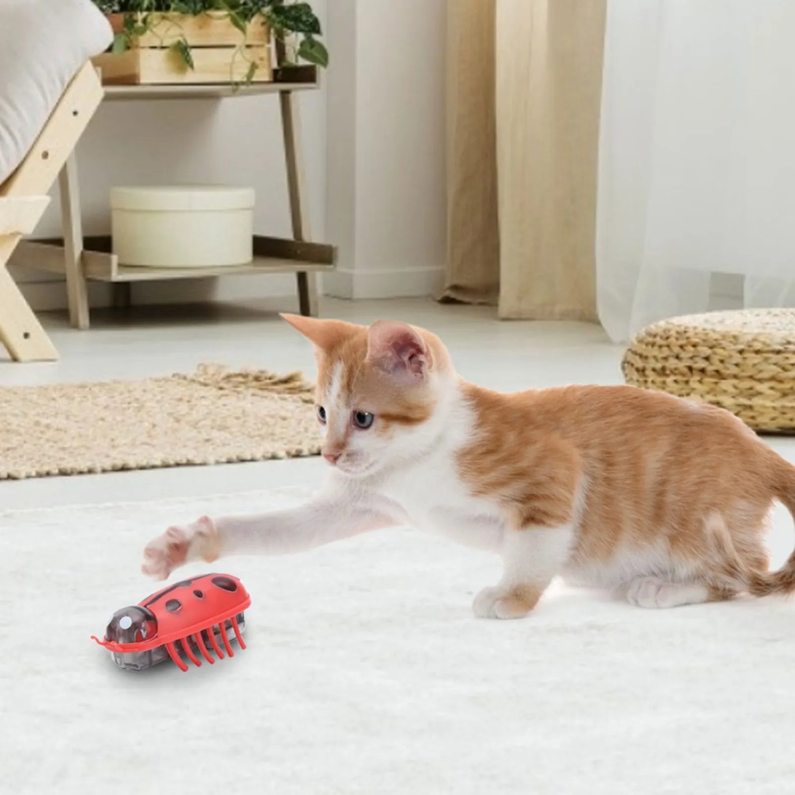 Electric Ladybug Toys